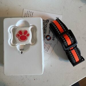 Black and Orange Pet Collar with Paw Print Tag